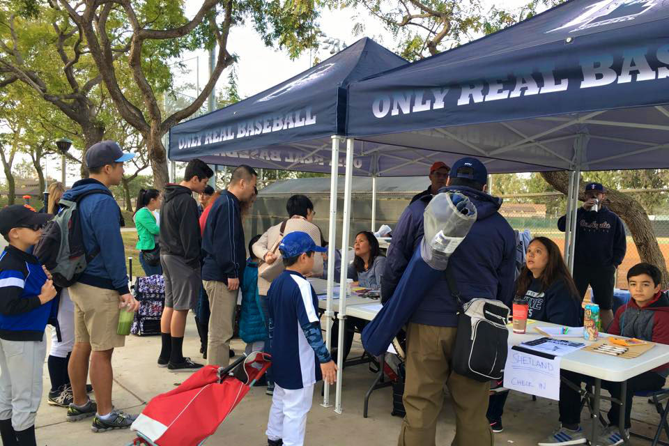 BuyShade baseball tent